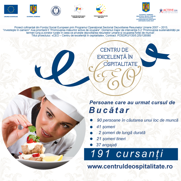 categorii persoane_Bucatar