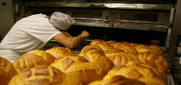 finantare nerambursabila brutarii